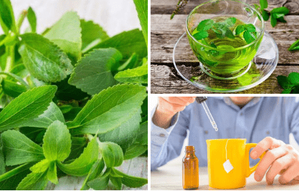 Stevia: îndulcitor natural 100% cu multe beneficii pentru sănătate